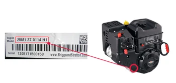 Briggs & Stratton snow blower engine model-type sijainti 1